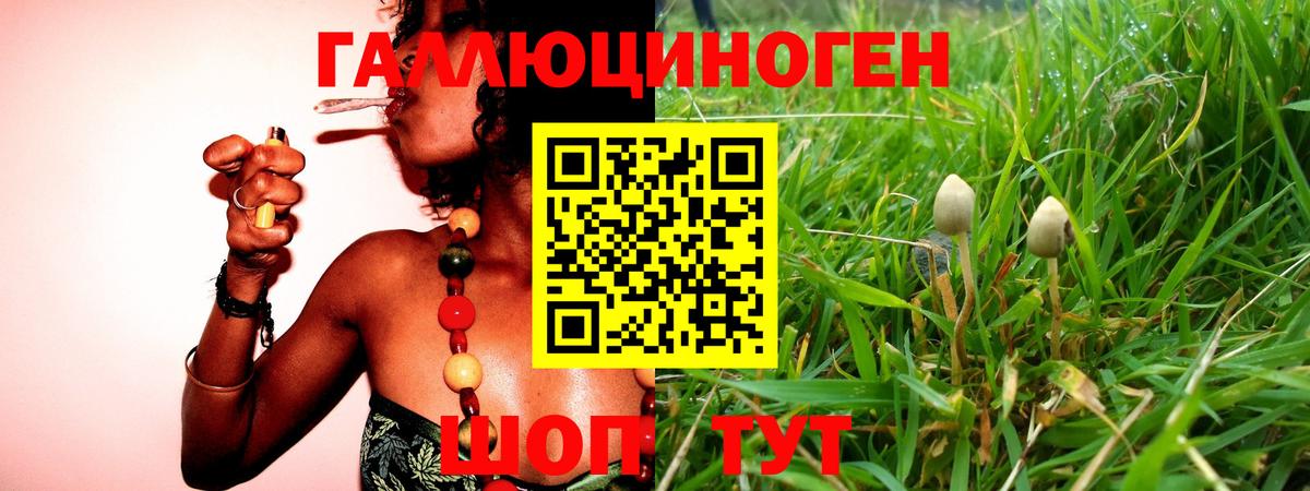 Галлюциногенные грибы прущие грибы Горячий Ключ